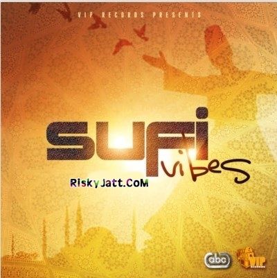 Ruk Ja Mahi Ali Abbas mp3 song free download, Sufi Vibes Ali Abbas full album