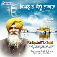 Birkhey Heth Sabh Bhai Nirmal Singh Ji Khalsa mp3 song free download, Bighan Na Kou Laagta Bhai Nirmal Singh Ji Khalsa full album