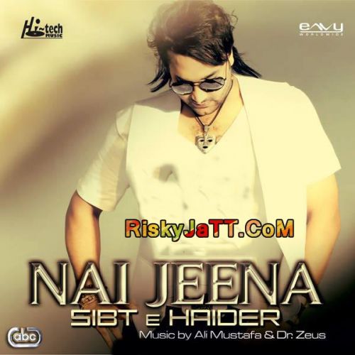 Din Pyar De Dr Zeus, Sibt E Haider mp3 song free download, Nai Jeena Dr Zeus, Sibt E Haider full album