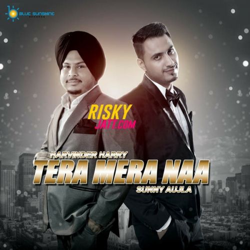 Tera Mera Naa Harvinder Harry mp3 song free download, Tera Mera Naa Harvinder Harry full album