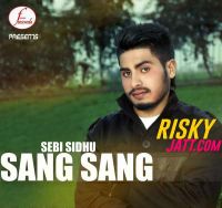 Sang Sang Sebi Sidhu mp3 song free download, Sang Sang Sebi Sidhu full album