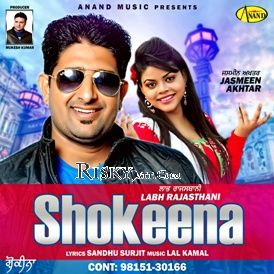 Shokeena Labh Rajasthani mp3 song free download, Shokeena Labh Rajasthani full album