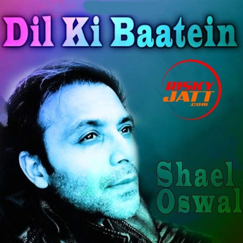 Dil Ki Baatein Shael Oswal mp3 song free download, Dil Ki Baatein Shael Oswal full album