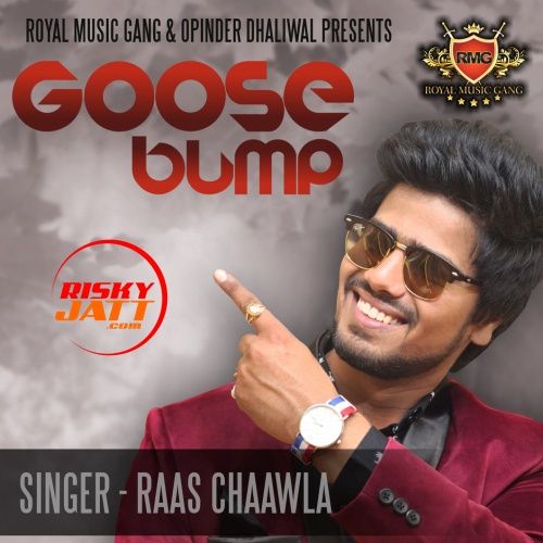 Goose Bump Raas Chaawla mp3 song free download, Goose Bump Raas Chaawla full album