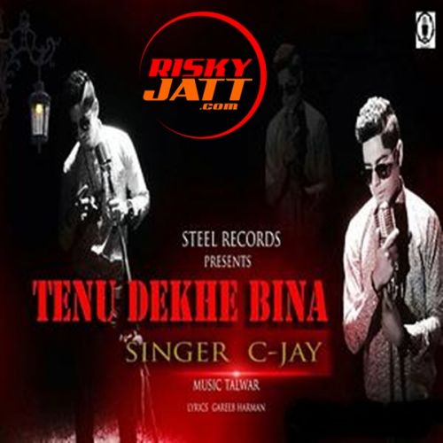 Tenu Dekhe Bina C-Jay Bhattia mp3 song free download, Tenu Dekhe Bina C-Jay Bhattia full album