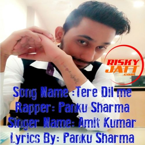 Tere Dil Me Amit Kumar, Panku Sharma mp3 song free download, Tere Dil Me Amit Kumar, Panku Sharma full album