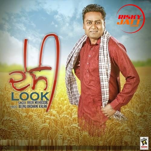 Desi Look Raja Mehboob mp3 song free download, Desi Look Raja Mehboob full album