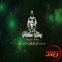 Hotline Bling Souljha Bee AKA Shikari mp3 song free download, Hotline Bling Souljha Bee AKA Shikari full album