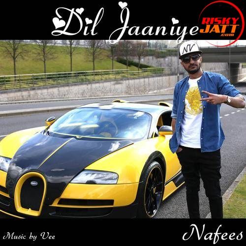 Dil Jaaniye Nafees mp3 song free download, Dil Jaaniye Nafees full album