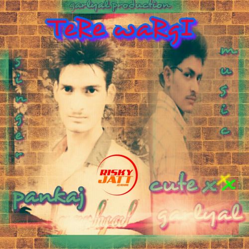 Tere Wargi Pankaj Garlyal mp3 song free download, Tere Wargi Pankaj Garlyal full album