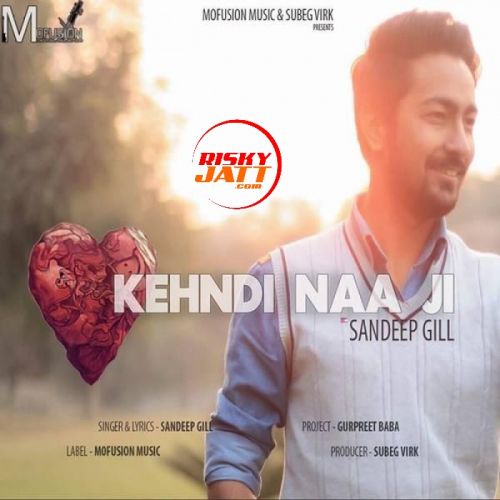 Kehndi Naa Ji Sandeep Gill mp3 song free download, Kehndi Naa Ji Sandeep Gill full album