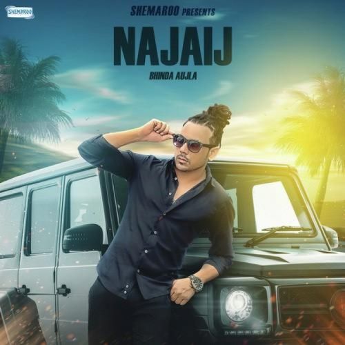 Najaij Bhinda Aujla mp3 song free download, Najaij Bhinda Aujla full album