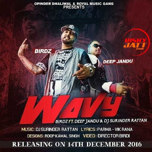 Wavy Birdz, Deep Jandu mp3 song free download, Wavy Birdz, Deep Jandu full album