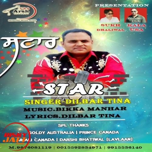 Star Dilbar Tina mp3 song free download, Star Dilbar Tina full album