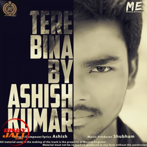 Tere Bina Ashish Kumar, Shubham mp3 song free download, Tere Bina Ashish Kumar, Shubham full album