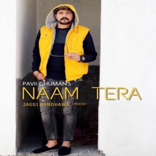 Naam Tera (Live) Pavii Ghuman mp3 song free download, Naam Tera (Live) Pavii Ghuman full album