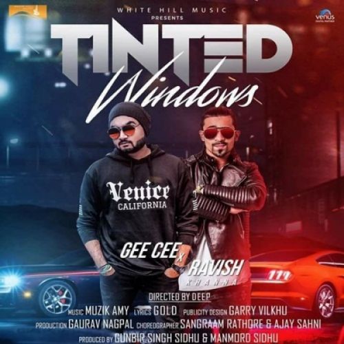 Tinted Windows Gee Cee, Ravish Khanna mp3 song free download, Tinted Windows Gee Cee, Ravish Khanna full album