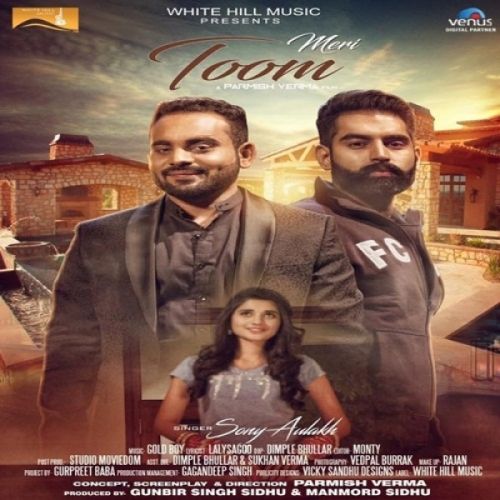 Meri Toom Sony Aulakh mp3 song free download, Meri Toom Sony Aulakh full album