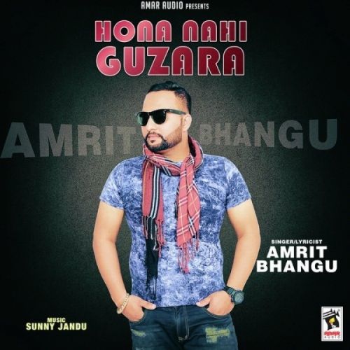 Hona Nahi Guzara Amrit Bhangu mp3 song free download, Hona Nahi Guzara Amrit Bhangu full album