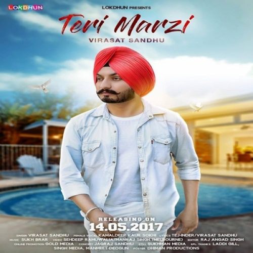 Teri Marzi Virasat Sandhu mp3 song free download, Teri Marzi Virasat Sandhu full album