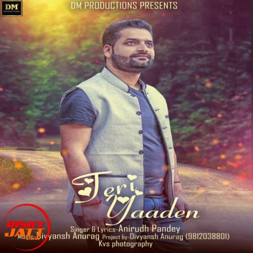 Teri Yadden Anirudh Pandey mp3 song free download, Teri Yadden Anirudh Pandey full album