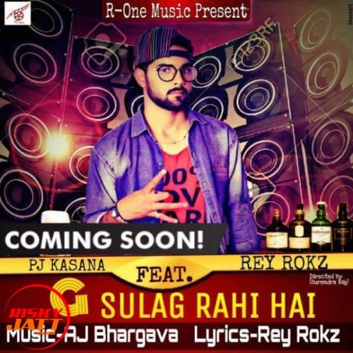 G Sulag Rahi Hai PJ Kasana Ft. Rey Rokz mp3 song free download, G Sulag Rahi Hai PJ Kasana Ft. Rey Rokz full album