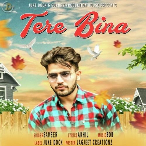 Tere Bina Sameer mp3 song free download, Tere Bina Sameer full album