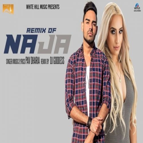 Na Ja (Remix) DJ Goddess, Pav Dharia mp3 song free download, Na Ja (Remix) DJ Goddess, Pav Dharia full album