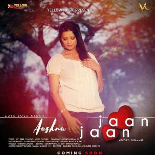 Jaan Jaan Aashna mp3 song free download, Jaan Jaan Aashna full album