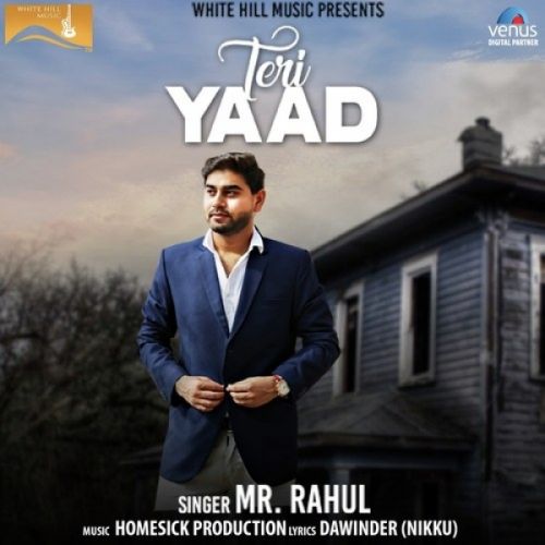 Teri Yaad Mr Rahul mp3 song free download, Teri Yaad Mr Rahul full album