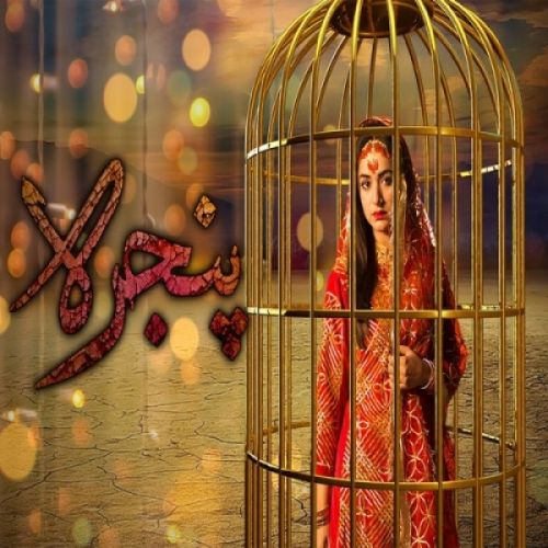 Pinjra Rahat Fateh Ali Khan, Noraan Laal mp3 song free download, Pinjra Rahat Fateh Ali Khan, Noraan Laal full album