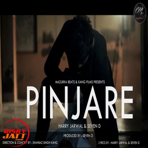 Pinjare Narci, Harry Jarwal, Seven D mp3 song free download, Pinjare Narci, Harry Jarwal, Seven D full album