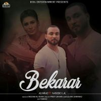 Bekarar Naseebo Lal, Ali Faraz mp3 song free download, Bekarar Naseebo Lal, Ali Faraz full album