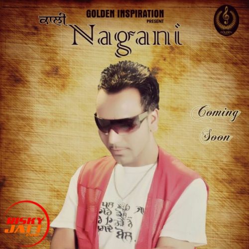 Nagani Sukha Zaildar, Sm Beats mp3 song free download, Nagani Sukha Zaildar, Sm Beats full album