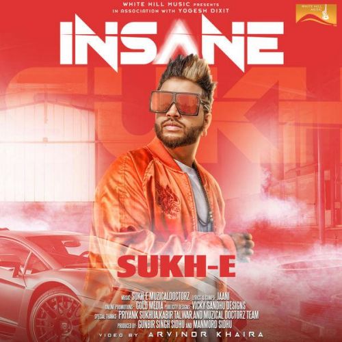 Insane Sukh E Muzical Doctorz mp3 song free download, Insane Sukh E Muzical Doctorz full album