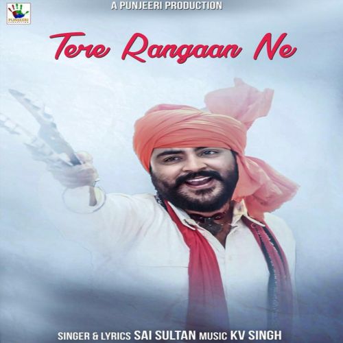 Tere Rangaan Ne Sai Sultan mp3 song free download, Tere Rangaan Ne Sai Sultan full album