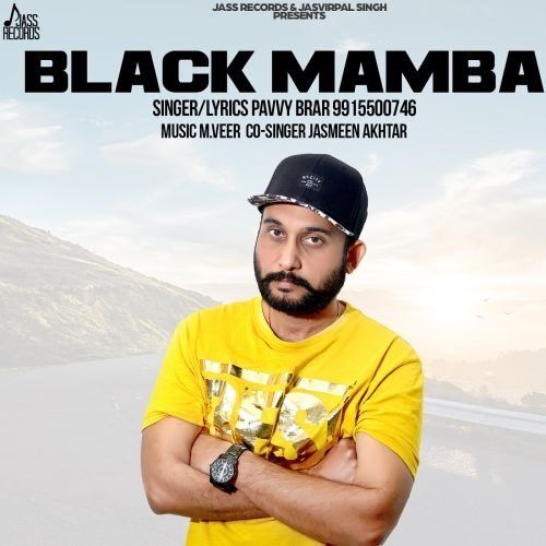 Black Mamba Pavvy Brar mp3 song free download, Black Mamba Pavvy Brar full album