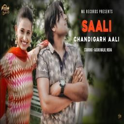 Saali Chandigarh Aali Vinu Gaur mp3 song free download, Saali Chandigarh Aali Vinu Gaur full album