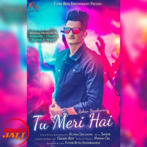 Tu Meri Hai Rohan Singhania mp3 song free download, Tu Meri Hai Rohan Singhania full album