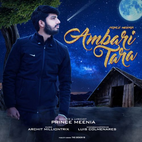 Ambari Tara Prince Meenia mp3 song free download, Ambari Tara Prince Meenia full album