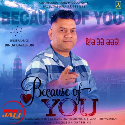 Because of You Binda Dayalpuri mp3 song free download, Because of You Binda Dayalpuri full album