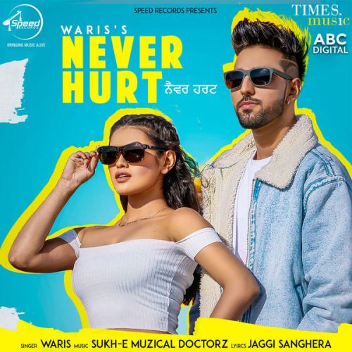 Never Hurt Waris, Sukh E Muzical Doctorz mp3 song free download, Never Hurt Waris, Sukh E Muzical Doctorz full album