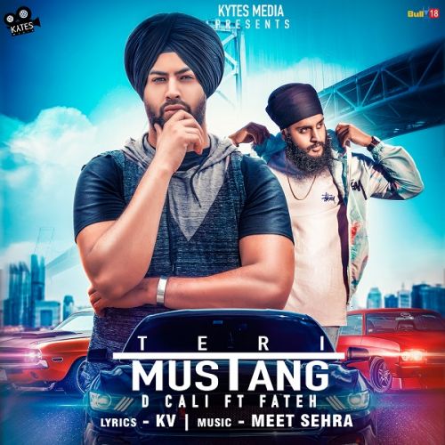 Teri Mustang Fateh, D Cali mp3 song free download, Teri Mustang Fateh, D Cali full album