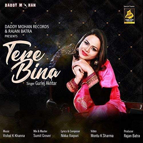 Tere Bina Gurlez Akhtar mp3 song free download, Tere Bina Gurlez Akhtar full album