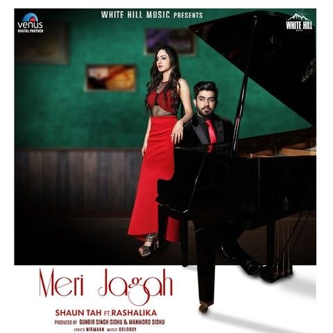 Meri Jagah Shaun Tah mp3 song free download, Meri Jagah Shaun Tah full album