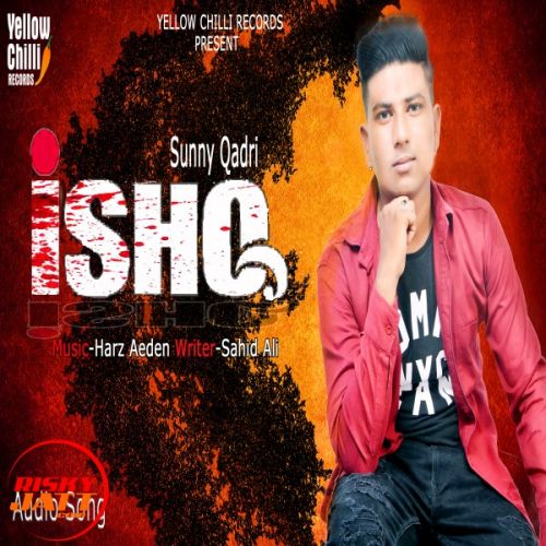 Ishq Sunny Qadri mp3 song free download, Ishq Sunny Qadri full album