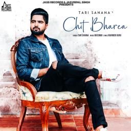 Chit Bharea Tari Sanana mp3 song free download, Chit Bharea Tari Sanana full album