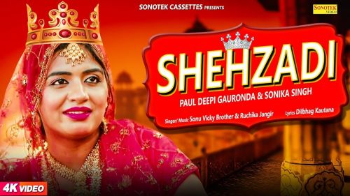 Shehzadi Sonu Vicky Brother, Ruchika Jangid, Sonika Singh mp3 song free download, Shehzadi Sonu Vicky Brother, Ruchika Jangid, Sonika Singh full album