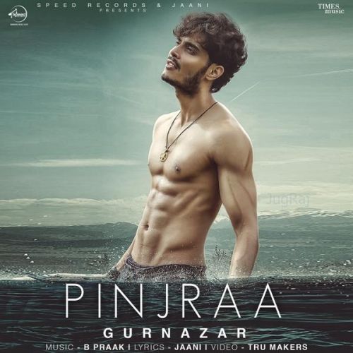 Pinjraa Gurnazar mp3 song free download, Pinjraa Gurnazar full album