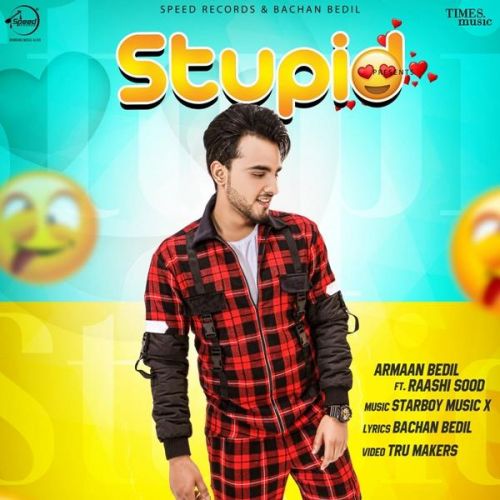 Stupid Armaan Bedil, Raashi Sood mp3 song free download, Stupid Armaan Bedil, Raashi Sood full album